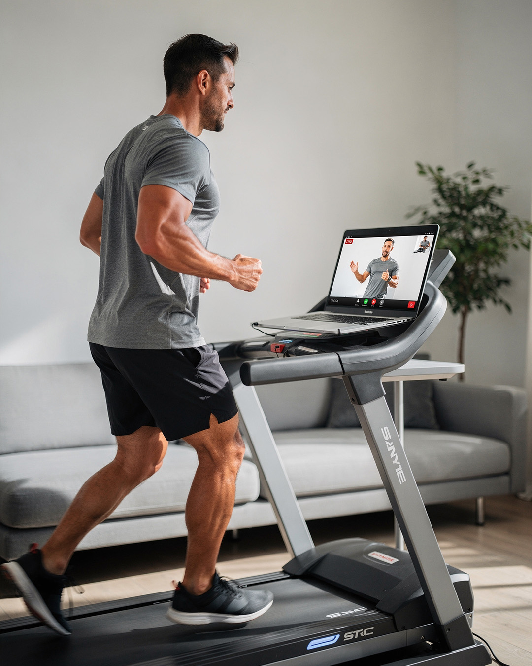 Annual Fitslay 365 Plan